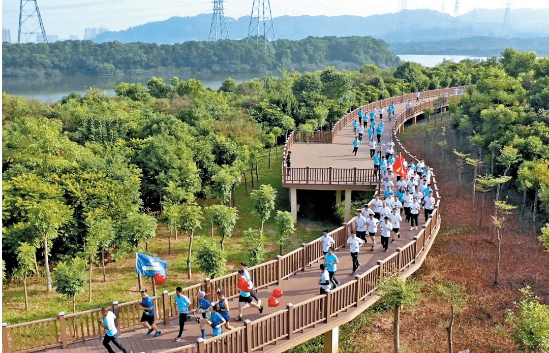 近南山稀缺原始户型【公园壹号】石岩料坑3栋花园(图7)